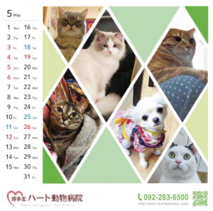 ハート動物病院様 カレンダー