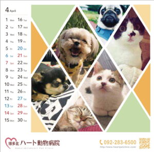 ハート動物病院様 カレンダー