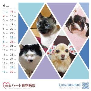 ハート動物病院様 カレンダー